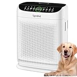 Image of Spnoid ZX001 air purifier