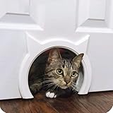 Image of The Kitty Pass feds cat flap