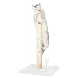 Image of ANWA cat scratching post cat scratching post