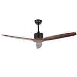 Another picture of a ceiling fan