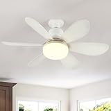 Another picture of a ceiling fan