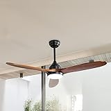Image of Spector Does not apply ceiling fan