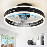 Image of Bacowikin  ceiling fan