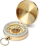 Picture of a compass