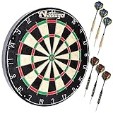 Image of Generic dartboard-1020 dartboard