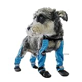 Image of CheiyQu A3W pair of dog boots