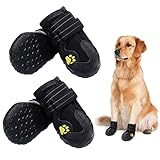 Image of PK.ZTopia 20190625 pair of dog boots