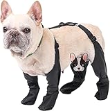 Image of SW FUTURE HW0196 pair of dog boots