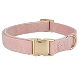 Image of YUDOTE DCLCDY-DP-M dog collar