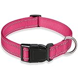 Image of BOOMIBOO dog collar