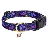 Image of Gelwoo JLW001 dog collar