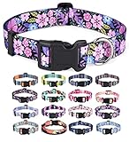 Image of Mihqy  dog collar