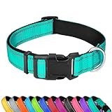 Image of PWOD GXQ02 dog collar