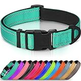 Image of Joytale DC0610542 dog collar