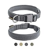 Image of EXCELLENT ELITE SPANKER DG118-Grey-M dog collar