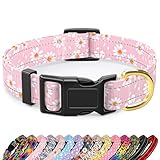 Image of TMOODEL Re-Collar-S-Pink Daisy dog collar