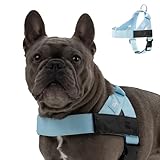 Image of Dog Friendly Co HSBL dog harness