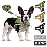 Image of AutoWT EPRO-PET39 dog harness