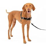 Image of PetSafe EW-H-M-BK-17 dog harness