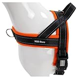 Image of MSR Store MSR NPDH 1-4 dog harness