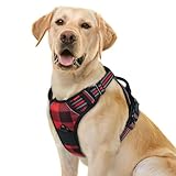 Another picture of a dog harness