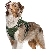 Image of rabbitgoo DXZSGBD01MGB22CW dog harness