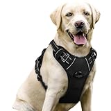 Image of rabbitgoo DTCW006L dog harness