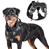 Image of rabbitgoo DXZSGBD01LBK21CW dog harness