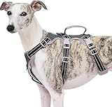Image of Huntboo HD03-BLACK-M dog harness
