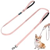 Image of PuppyDoggy DM-DL dog leash