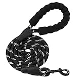 Image of petescort  dog leash