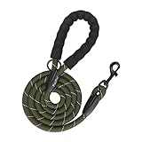 Image of PoyPet  dog leash