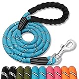 Image of Generic  dog leash