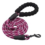 Picture of a dog leash