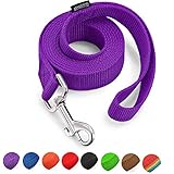 Picture of a dog leash