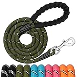 Image of Generic  dog leash