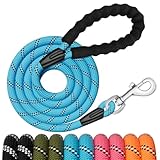 Image of Generic  dog leash