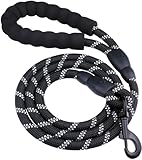 Image of MUMOO BEAR Dog Lead dog leash