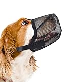 Picture of a dog muzzle