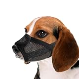 Image of viiotu Viiotu06-250312 dog muzzle