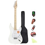 Image of Bullfighter D120 electric guitar