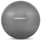 Image of Lifespan Fitness FITNESSBALL55-GY exercise ball