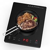 Image of PAYISHO PAY-P10 induction hob