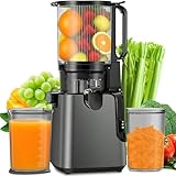 Image of Homiloggo SJ-057A juicer