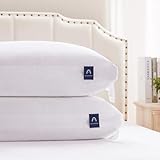 Image of ACCURATEX DB18002PP-Q pillow