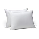 Image of Amazon Basics SC03-004 pillow