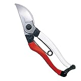 Another picture of a secateurs
