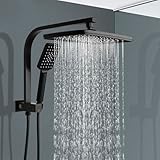 Image of ACA International SS2140B-0123B-S8B shower head