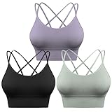 Image of Sykooria Amb00393_B+G+PUG_M sports bra