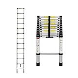 Another picture of a telescopic ladder